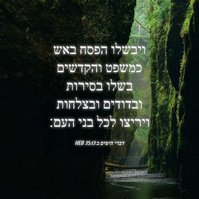 Picture 04 - דברי הימים ב 35:13 HEB - ויבשלו הפסח באש כמשפט - Bible Verse Picture