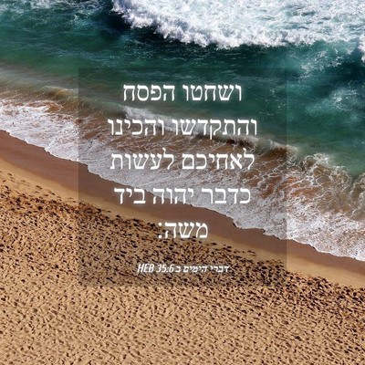 Picture 04 - דברי הימים ב 35:6 HEB - ושחטו הפסח והתקדשו והכינו - Bible Verse Picture