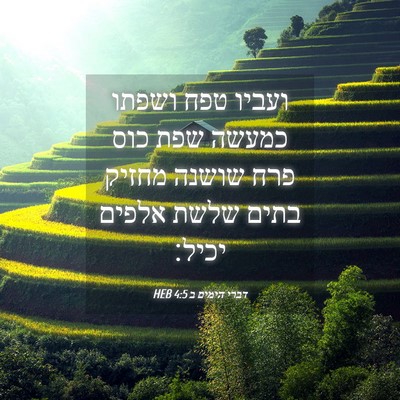 Picture 04 - דברי הימים ב 4:5 HEB - ועביו טפח ושפתו כמעשה שפת - Bible Verse Picture