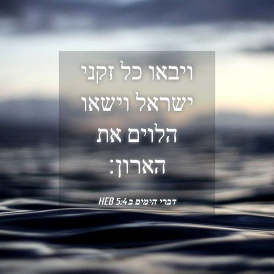 Picture 04 - דברי הימים ב 5:4 HEB - ויבאו כל זקני ישראל וישאו - Bible Verse Picture