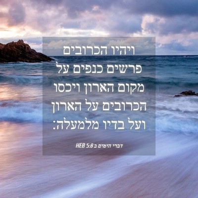 Picture 04 - דברי הימים ב 5:8 HEB - ויהיו הכרובים פרשים כנפים - Bible Verse Picture