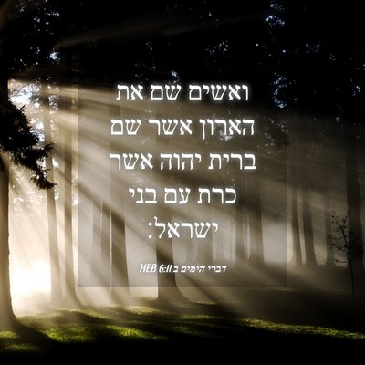 Picture 04 - דברי הימים ב 6:11 HEB - ואשים שם את הארון אשר שם - Bible Verse Picture