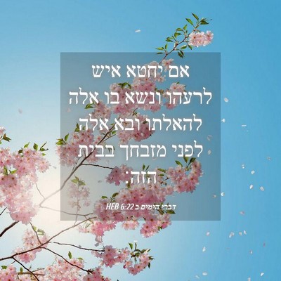 Picture 04 - דברי הימים ב 6:22 HEB - אם יחטא איש לרעהו ונשא בו - Bible Verse Picture