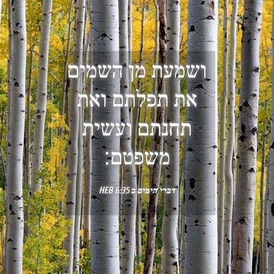 Picture 04 - דברי הימים ב 6:35 HEB - ושמעת מן השמים את תפלתם ואת - Bible Verse Picture