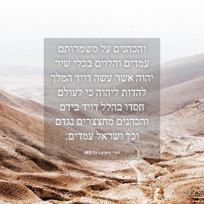 Picture 04 - דברי הימים ב 7:6 HEB - והכהנים על משמרותם עמדים - Bible Verse Picture