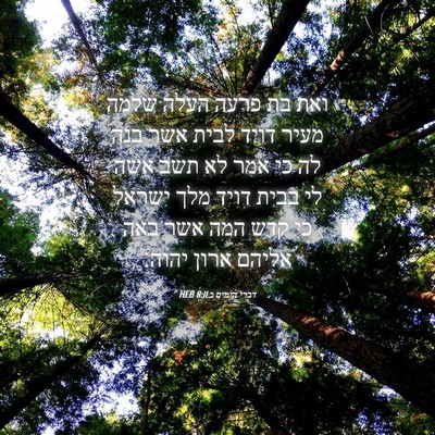 Picture 04 - דברי הימים ב 8:11 HEB - ואת בת פרעה העלה שלמה מעיר - Bible Verse Picture