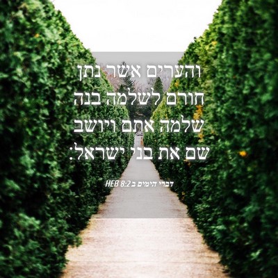 Picture 04 - דברי הימים ב 8:2 HEB - והערים אשר נתן חורם לשלמה - Bible Verse Picture