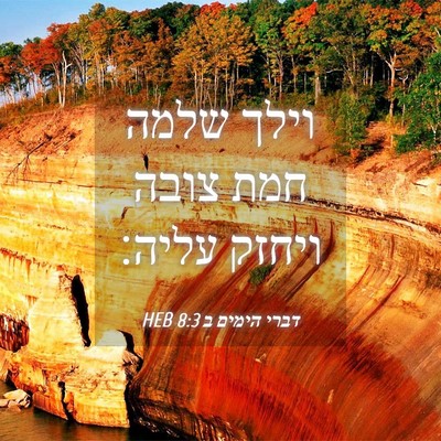 Picture 04 - דברי הימים ב 8:3 HEB - וילך שלמה חמת צובה ויחזק - Bible Verse Picture