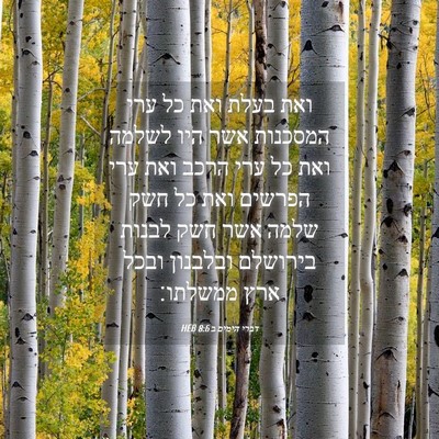 Picture 04 - דברי הימים ב 8:6 HEB - ואת בעלת ואת כל ערי המסכנות - Bible Verse Picture