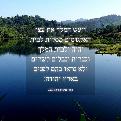 Picture 04 - דברי הימים ב 9:11 HEB - ויעש המלך את עצי האלגומים - Bible Verse Picture