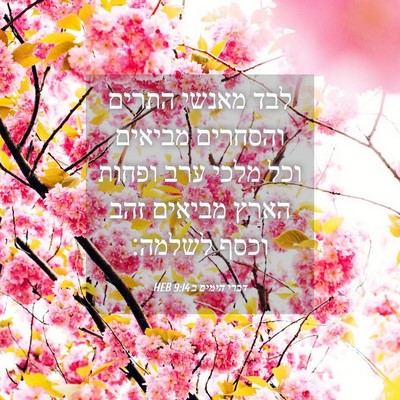 Picture 04 - דברי הימים ב 9:14 HEB - לבד מאנשי התרים והסחרים - Bible Verse Picture