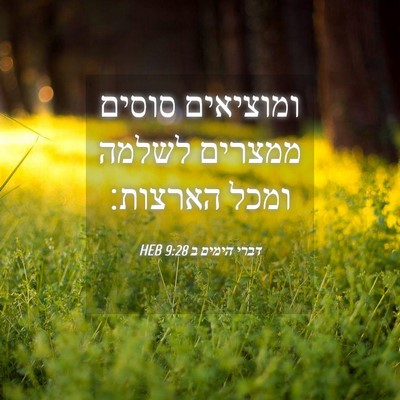 Picture 04 - דברי הימים ב 9:28 HEB - ומוציאים סוסים ממצרים - Bible Verse Picture
