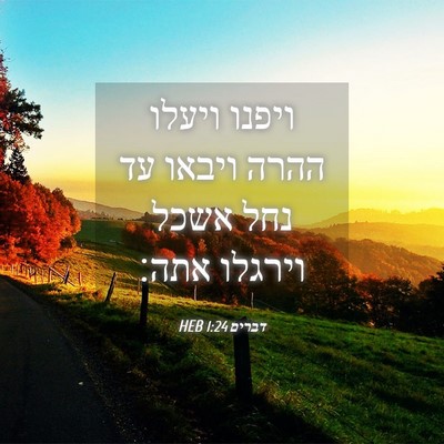 Picture 04 - דברים 1:24 HEB - ויפנו ויעלו ההרה ויבאו עד - Bible Verse Picture