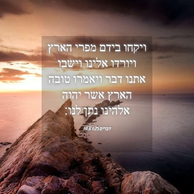 Picture 04 - דברים 1:25 HEB - ויקחו בידם מפרי הארץ - Bible Verse Picture