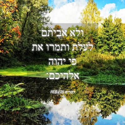 Picture 04 - דברים 1:26 HEB - ולא אביתם לעלת ותמרו את פי - Bible Verse Picture