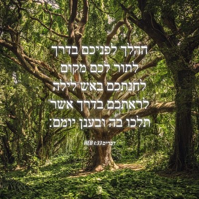 Picture 04 - דברים 1:33 HEB - ההלך לפניכם בדרך לתור לכם - Bible Verse Picture