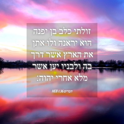 Picture 04 - דברים 1:36 HEB - זולתי כלב בן יפנה הוא יראנה - Bible Verse Picture