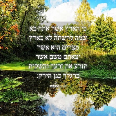 Picture 04 - דברים 11:10 HEB - כי הארץ אשר אתה בא שמה - Bible Verse Picture