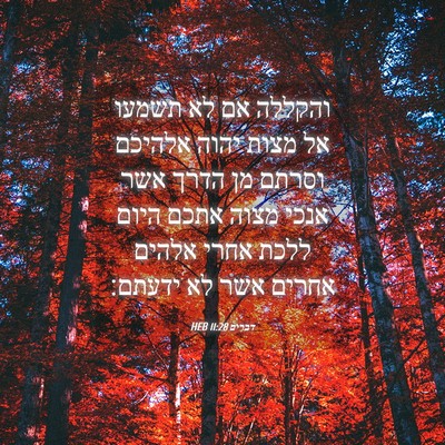 Picture 04 - דברים 11:28 HEB - והקללה אם לא תשמעו אל מצות - Bible Verse Picture