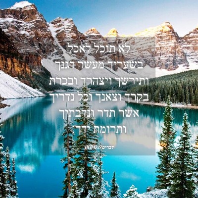 Picture 04 - דברים 12:17 HEB - לא תוכל לאכל בשעריך מעשר - Bible Verse Picture