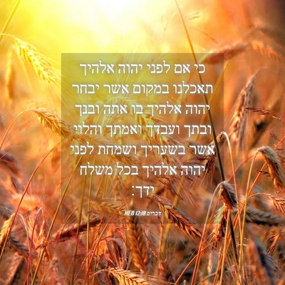 Picture 04 - דברים 12:18 HEB - כי אם לפני יהוה אלהיך - Bible Verse Picture
