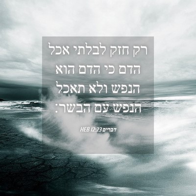 Picture 04 - דברים 12:23 HEB - רק חזק לבלתי אכל הדם כי הדם - Bible Verse Picture