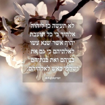 Picture 04 - דברים 12:31 HEB - לא תעשה כן ליהוה אלהיך כי - Bible Verse Picture