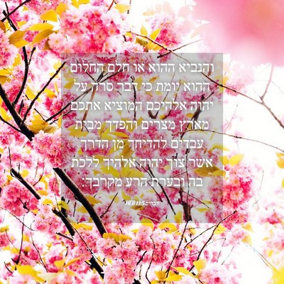 Picture 04 - דברים 13:5 HEB - והנביא ההוא או חלם החלום - Bible Verse Picture