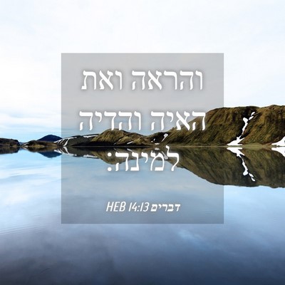 Picture 04 - דברים 14:13 HEB - והראה ואת האיה והדיה - Bible Verse Picture
