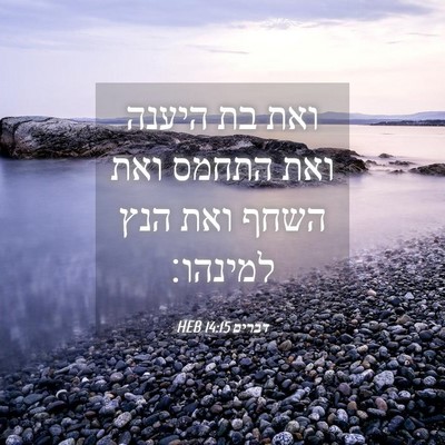 Picture 04 - דברים 14:15 HEB - ואת בת היענה ואת התחמס ואת - Bible Verse Picture