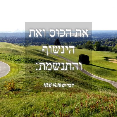Picture 04 - דברים 14:16 HEB - את הכוס ואת הינשוף - Bible Verse Picture
