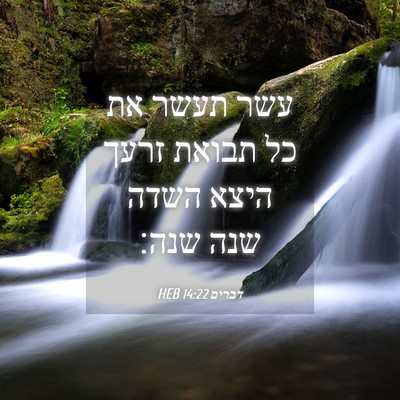 Picture 04 - דברים 14:22 HEB - עשר תעשר את כל תבואת זרעך - Bible Verse Picture