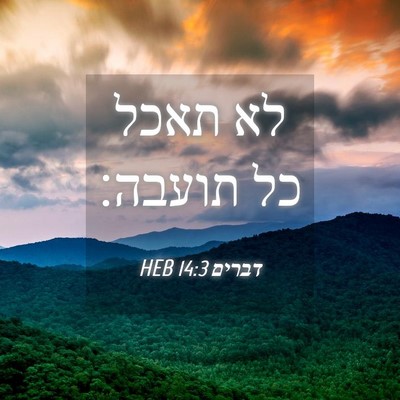 Picture 04 - דברים 14:3 HEB - לא תאכל כל - Bible Verse Picture