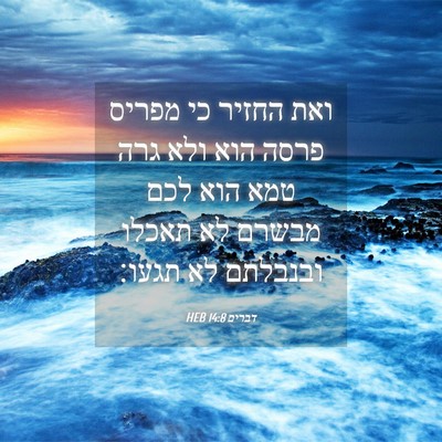Picture 04 - דברים 14:8 HEB - ואת החזיר כי מפריס פרסה הוא - Bible Verse Picture