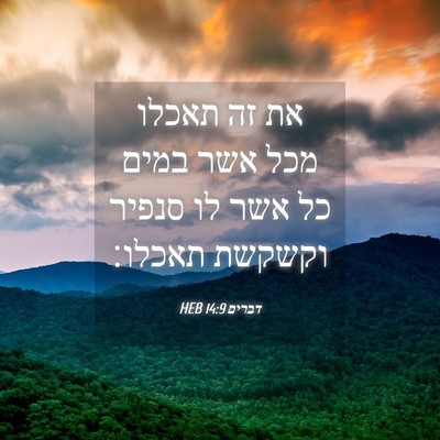 Picture 04 - דברים 14:9 HEB - את זה תאכלו מכל אשר במים כל - Bible Verse Picture