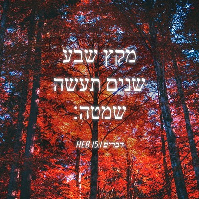 Picture 04 - דברים 15:1 HEB - מקץ שבע שנים תעשה - Bible Verse Picture