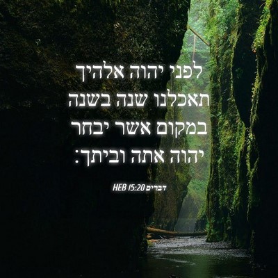Picture 04 - דברים 15:20 HEB - לפני יהוה אלהיך תאכלנו שנה - Bible Verse Picture