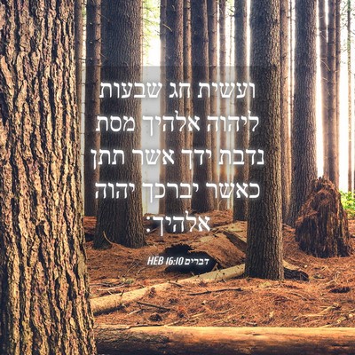 Picture 04 - דברים 16:10 HEB - ועשית חג שבעות ליהוה אלהיך - Bible Verse Picture
