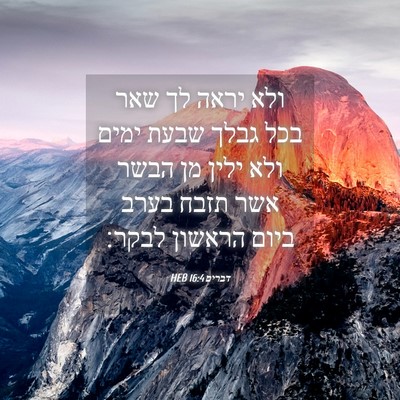 Picture 04 - דברים 16:4 HEB - ולא יראה לך שאר בכל גבלך - Bible Verse Picture
