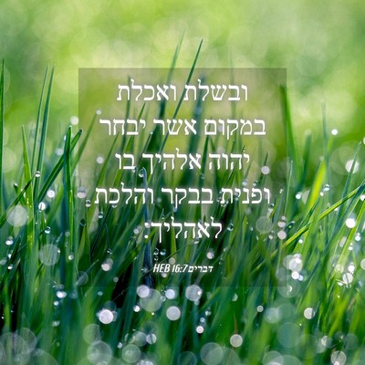 Picture 04 - דברים 16:7 HEB - ובשלת ואכלת במקום אשר יבחר - Bible Verse Picture