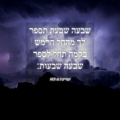 Picture 04 - דברים 16:9 HEB - שבעה שבעת תספר לך מהחל חרמש - Bible Verse Picture