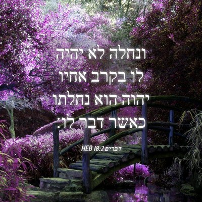 Picture 04 - דברים 18:2 HEB - ונחלה לא יהיה לו בקרב אחיו - Bible Verse Picture