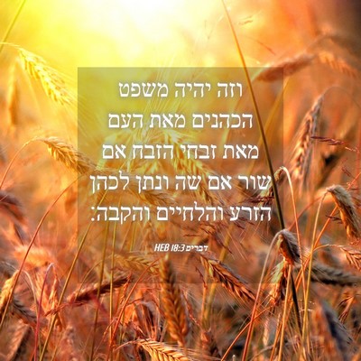 Picture 04 - דברים 18:3 HEB - וזה יהיה משפט הכהנים מאת - Bible Verse Picture