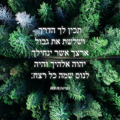 Picture 04 - דברים 19:3 HEB - תכין לך הדרך ושלשת את גבול - Bible Verse Picture