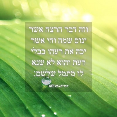 Picture 04 - דברים 19:4 HEB - וזה דבר הרצח אשר ינוס שמה - Bible Verse Picture