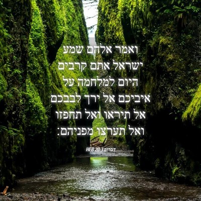 Picture 04 - דברים 20:3 HEB - ואמר אלהם שמע ישראל אתם - Bible Verse Picture