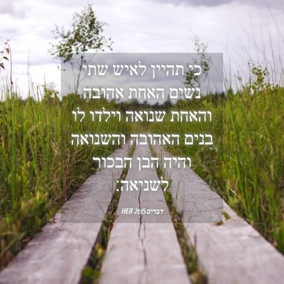 Picture 04 - דברים 21:15 HEB - כי תהיין לאיש שתי נשים האחת - Bible Verse Picture