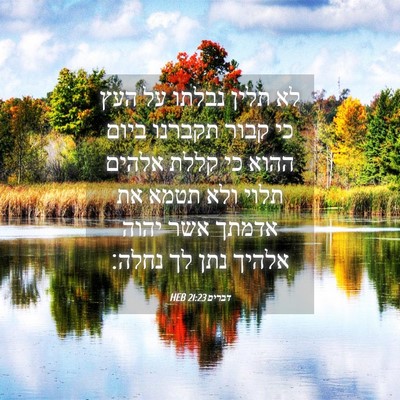 Picture 04 - דברים 21:23 HEB - לא תלין נבלתו על העץ כי - Bible Verse Picture