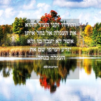 Picture 04 - דברים 21:4 HEB - והורדו זקני העיר ההוא את - Bible Verse Picture