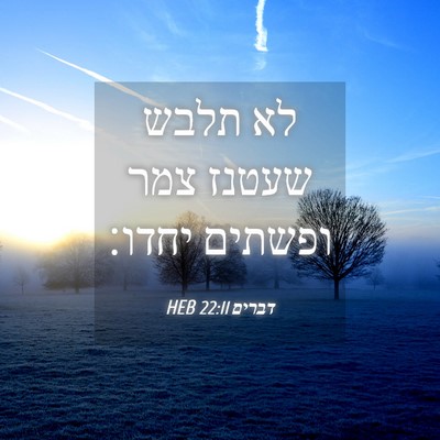 Picture 04 - דברים 22:11 HEB - לא תלבש שעטנז צמר ופשתים - Bible Verse Picture